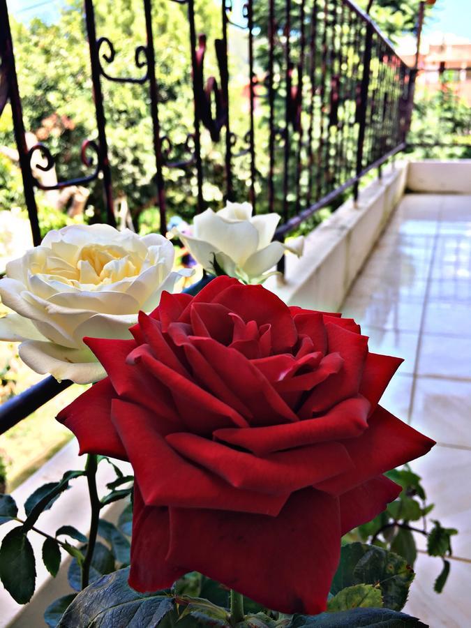 Hotel Samaipata Ngoại thất bức ảnh
